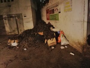 rsz 330359877 6296144427077146 3526615998602635118 nR